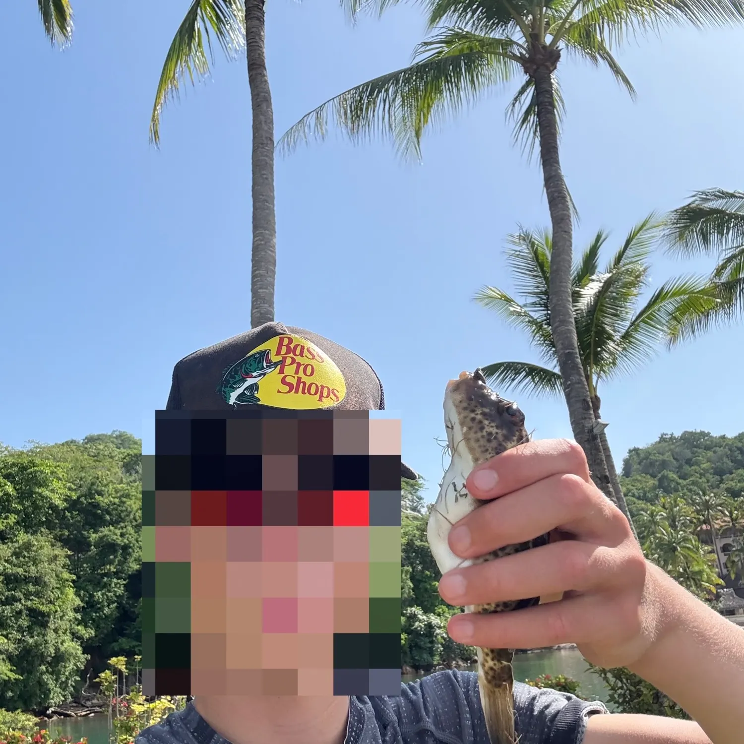 The most recent Evileye pufferfish catches on Fishbrain