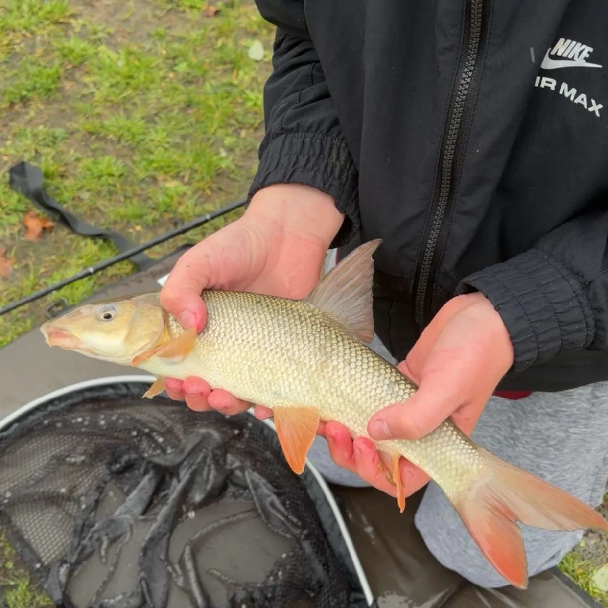 Common barbel caught on Fishbrain