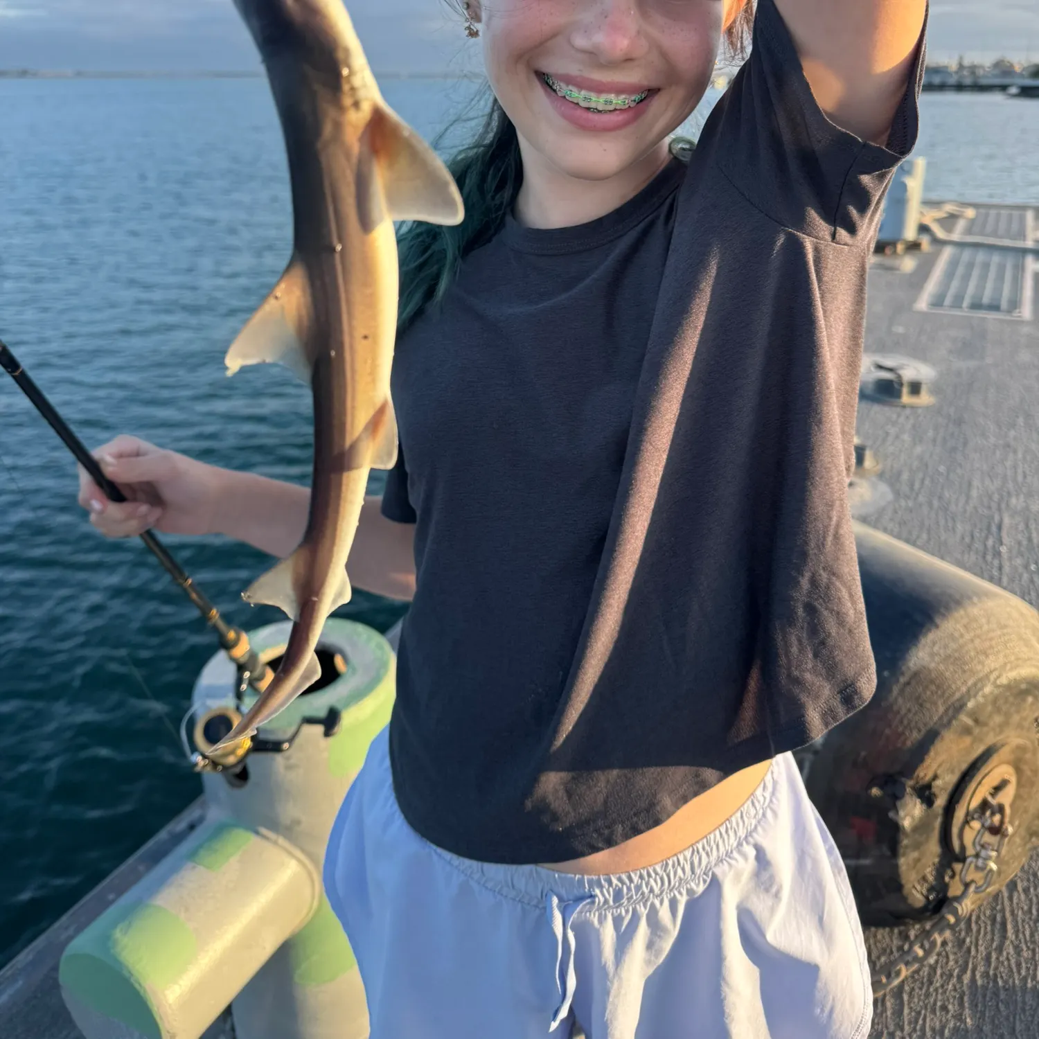 The most recent Common smooth-hound catches on Fishbrain