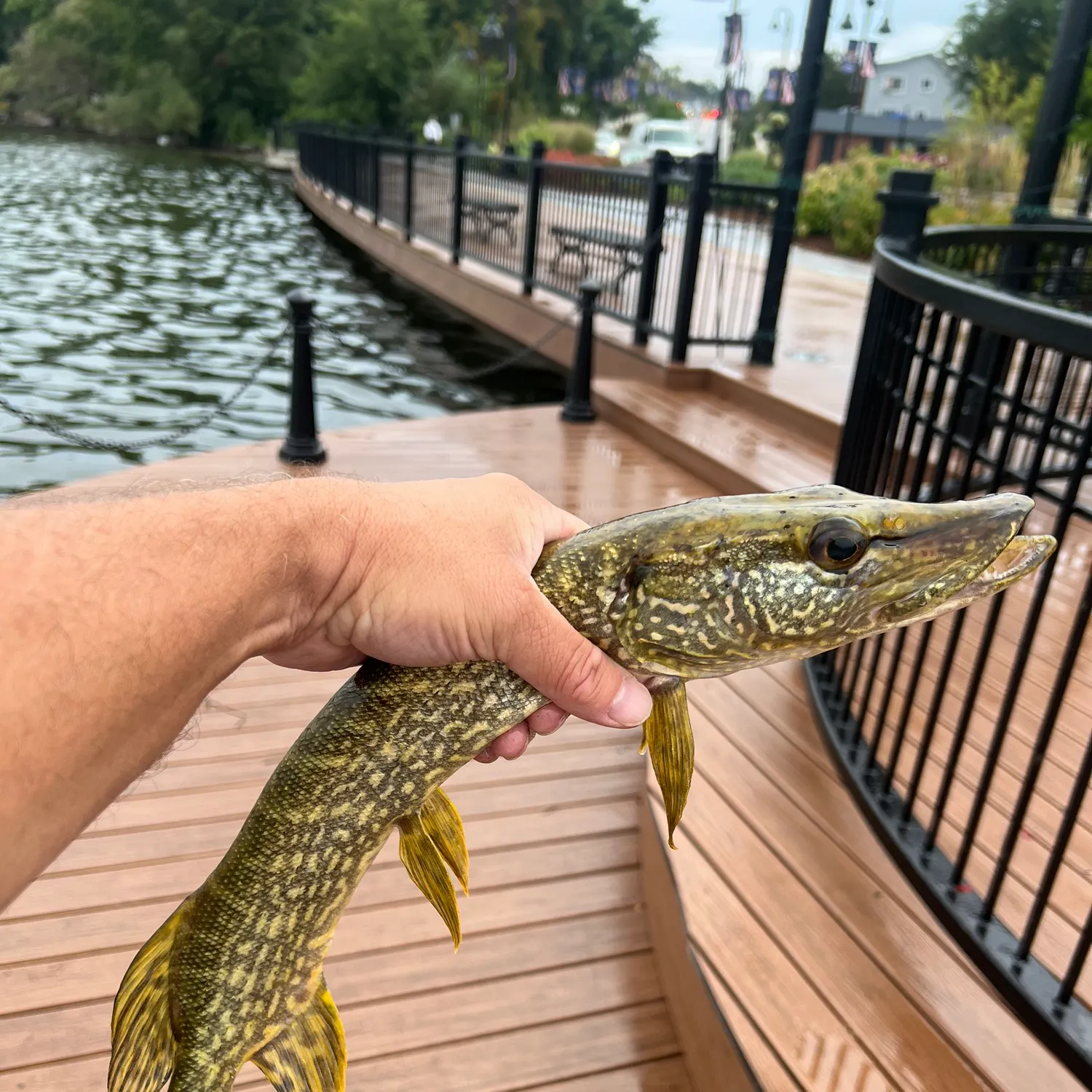 catch