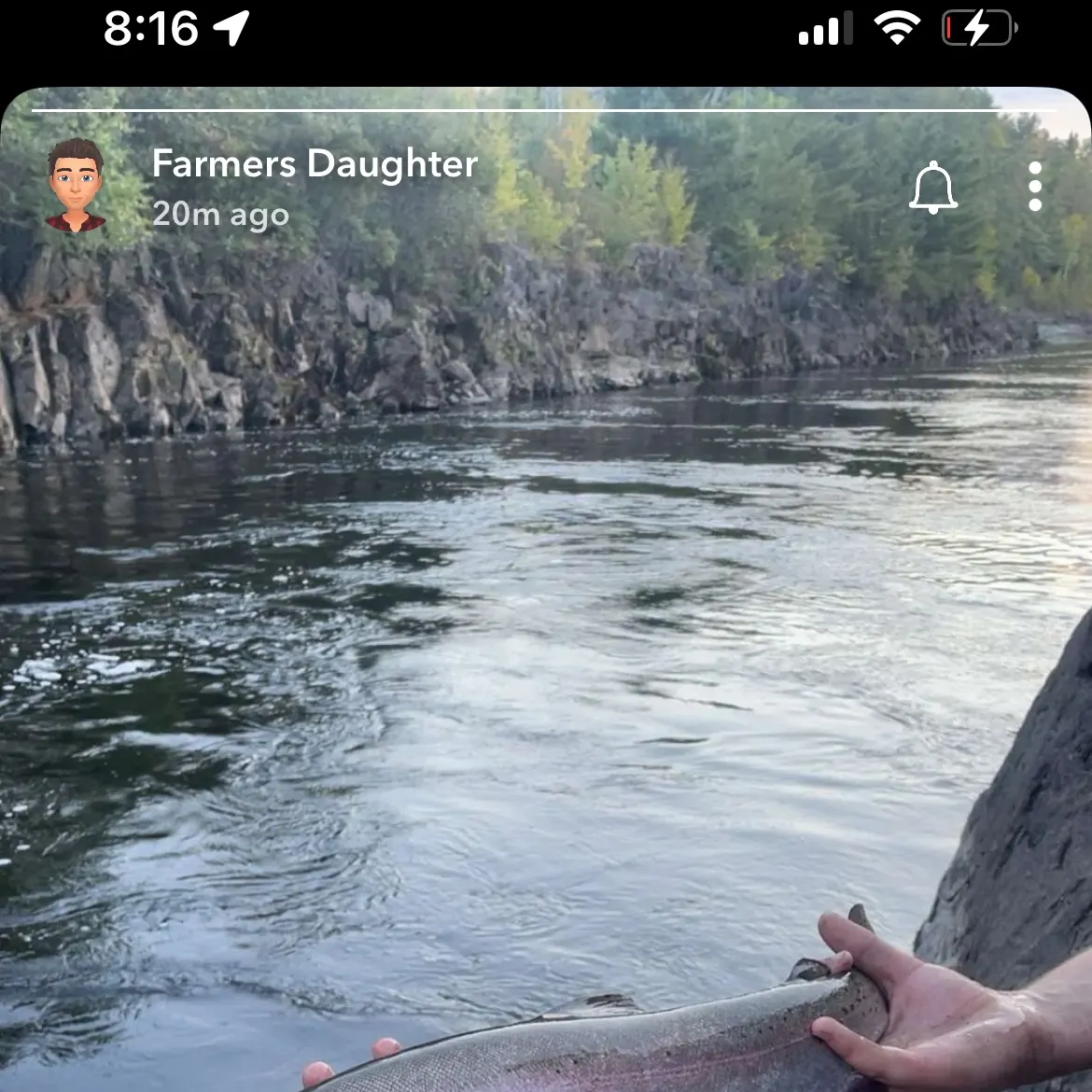 recently logged catches