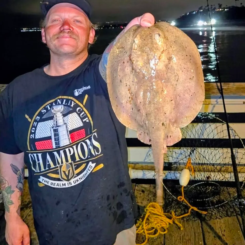 The most recent Haller's round ray catches on Fishbrain