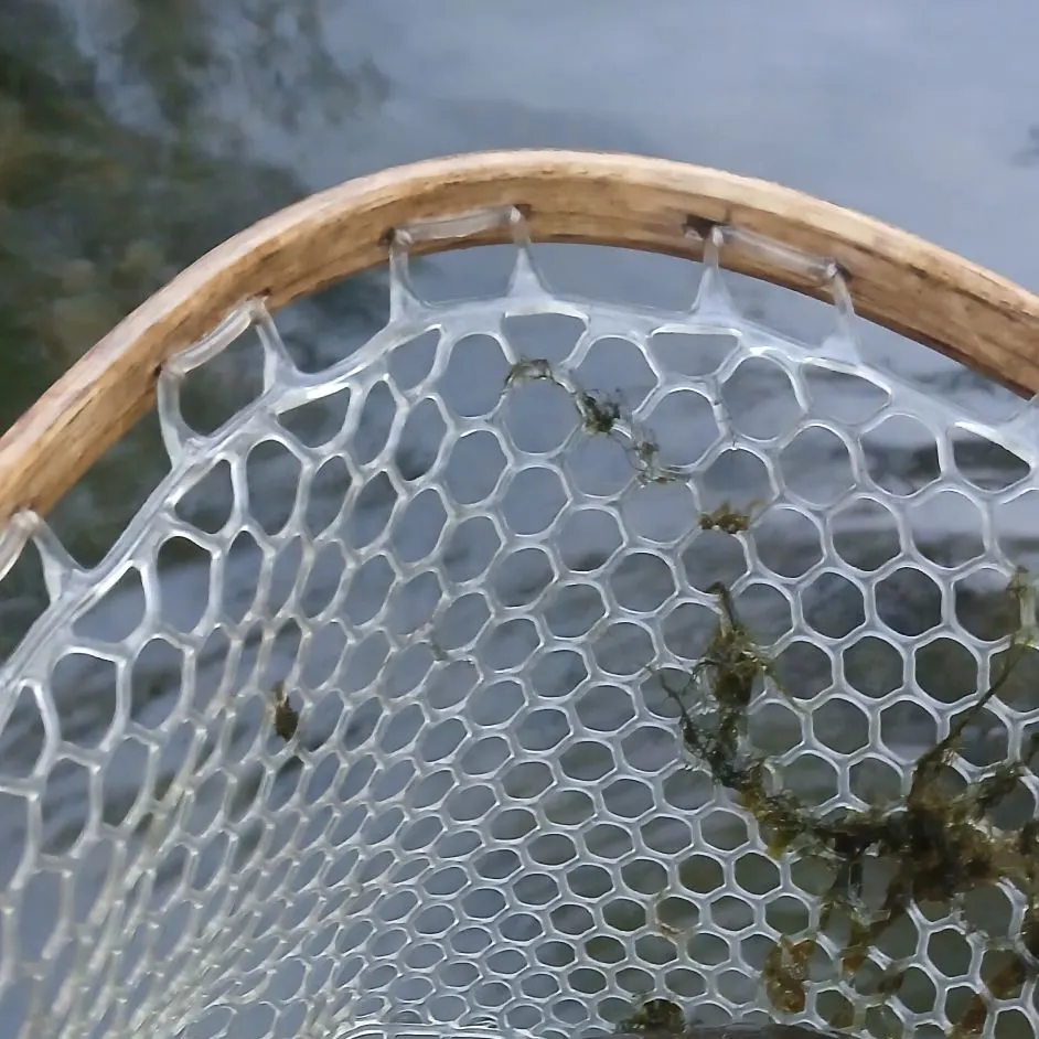The most recent Cutthroat trout catches on Fishbrain