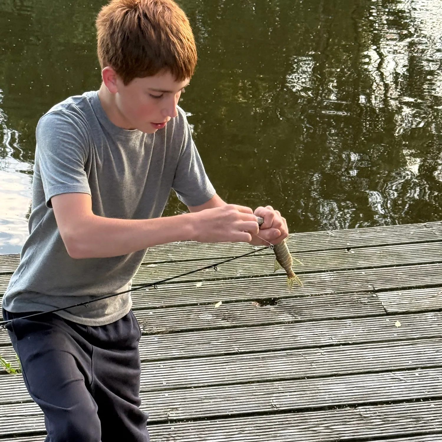 Northern pike caught on Fishbrain