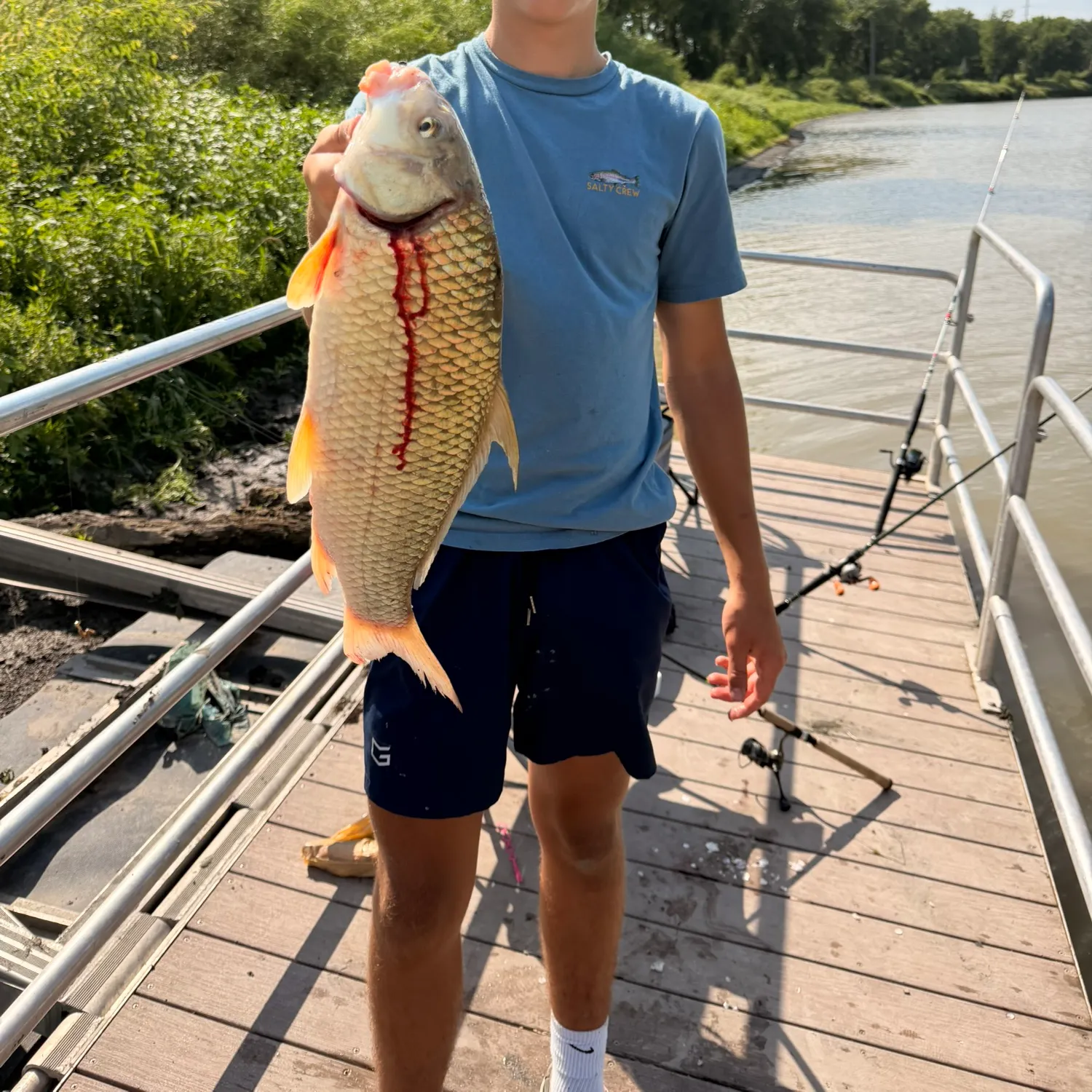 The most recent River carpsucker catches on Fishbrain