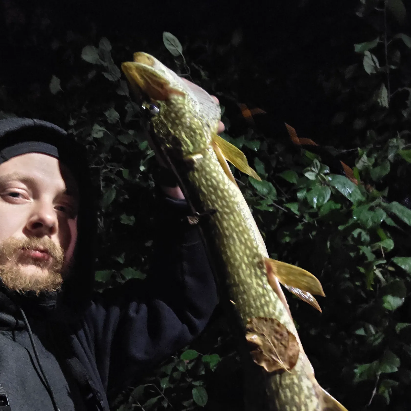 Northern pike caught on Fishbrain
