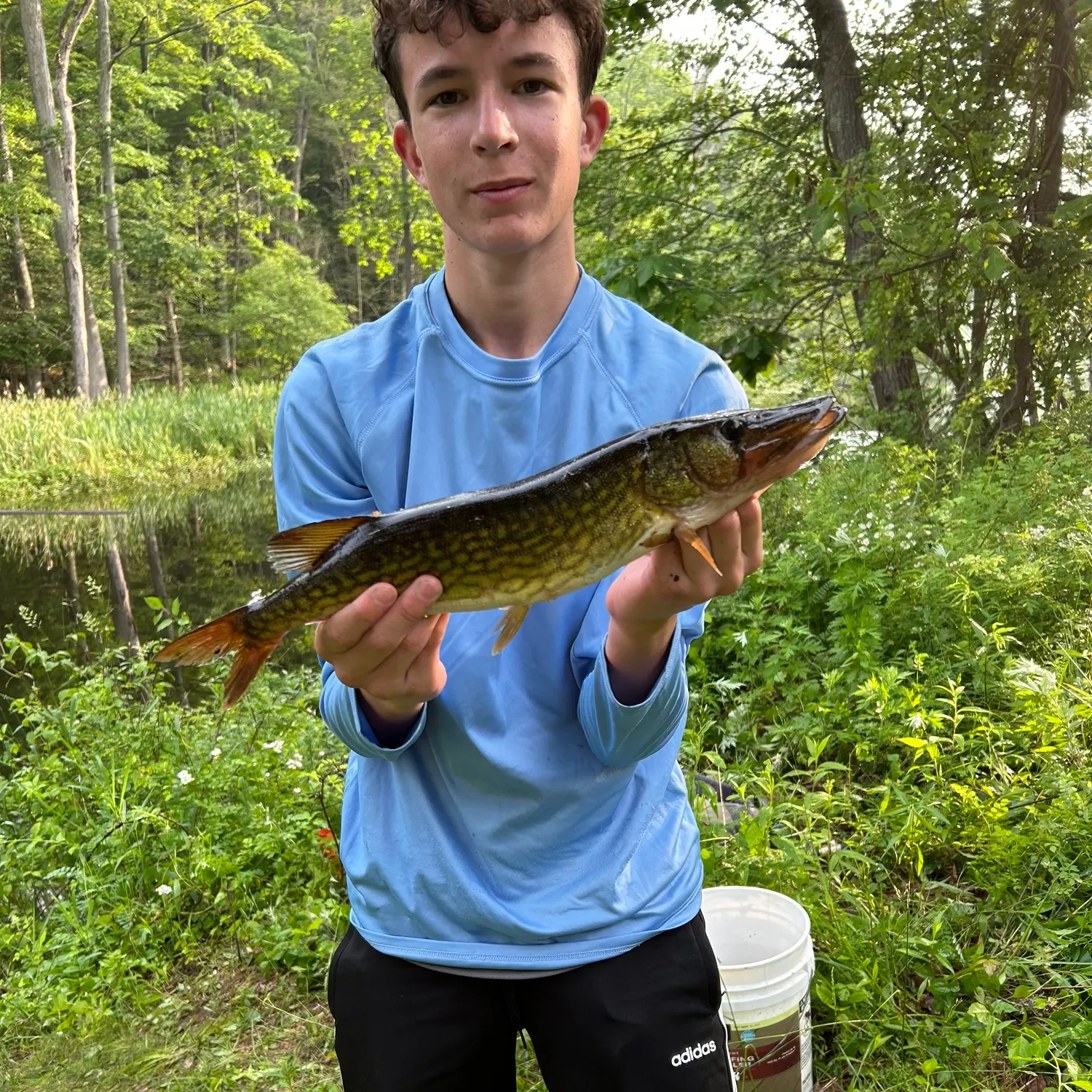 most liked catch image
