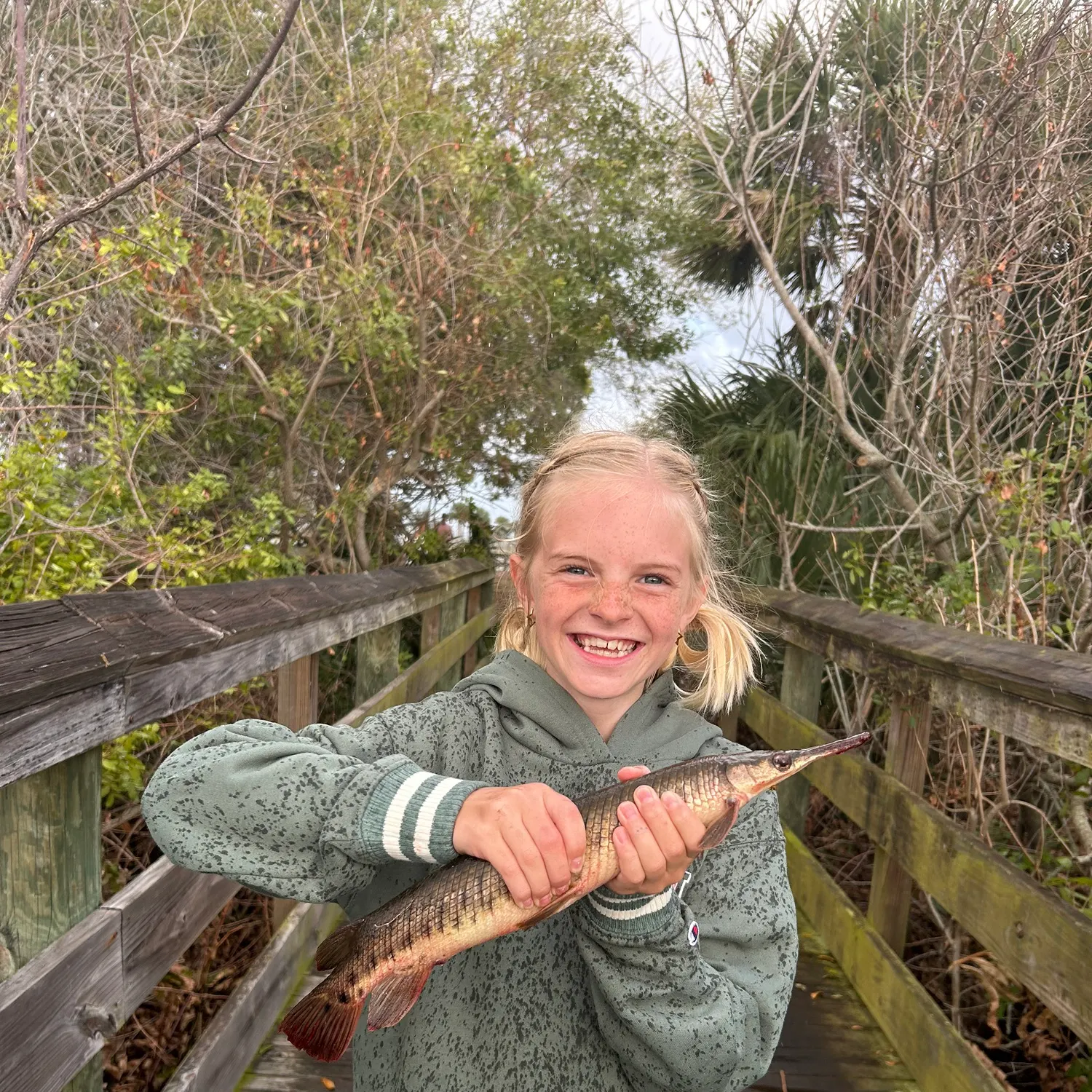 The most recent Spotted gar catches on Fishbrain