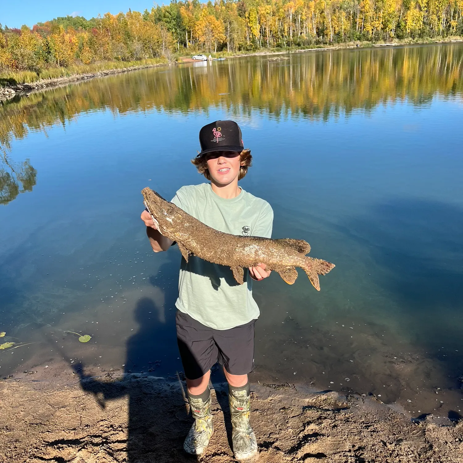 Northern pike caught on Fishbrain