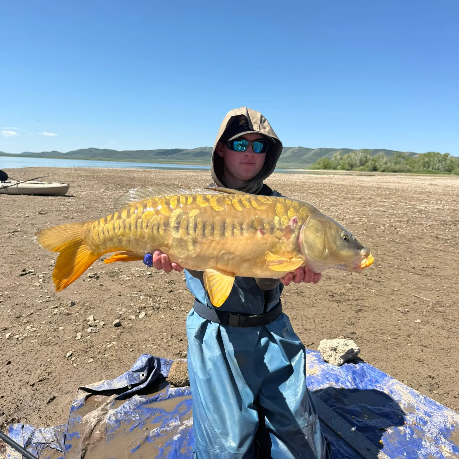 The most recent Mirror carp catches on Fishbrain