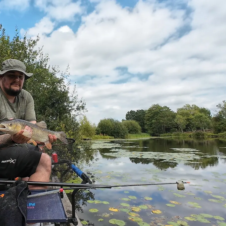 The most recent European chub catches on Fishbrain
