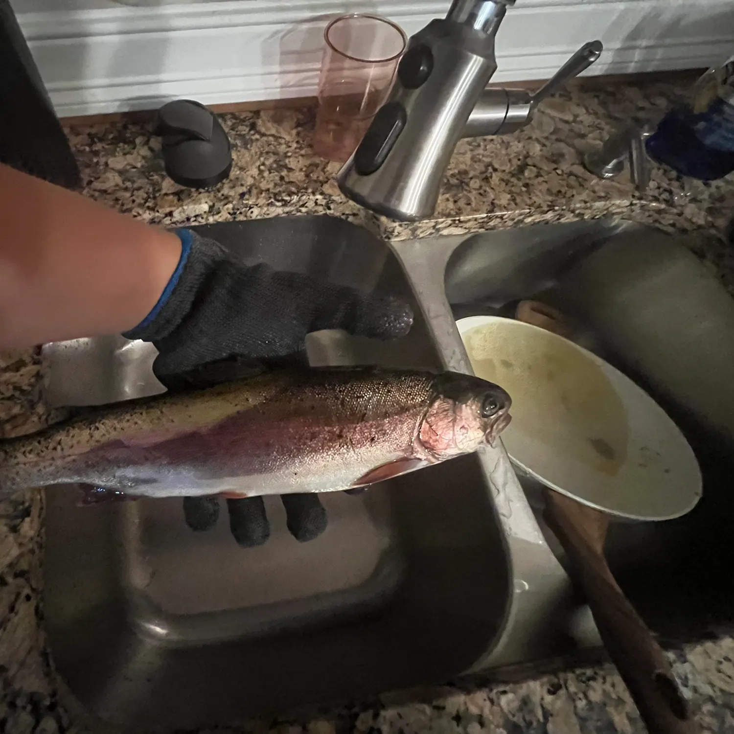 Rainbow trout caught on Fishbrain
