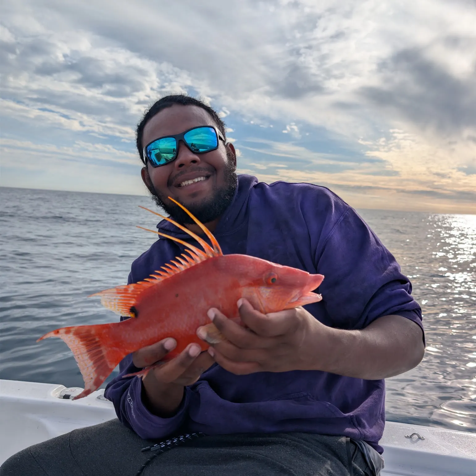 The most recent Hogfish catches on Fishbrain