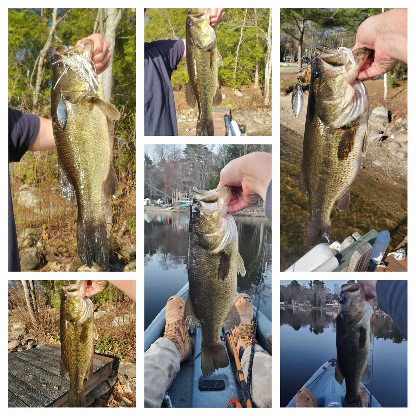 recently logged catches