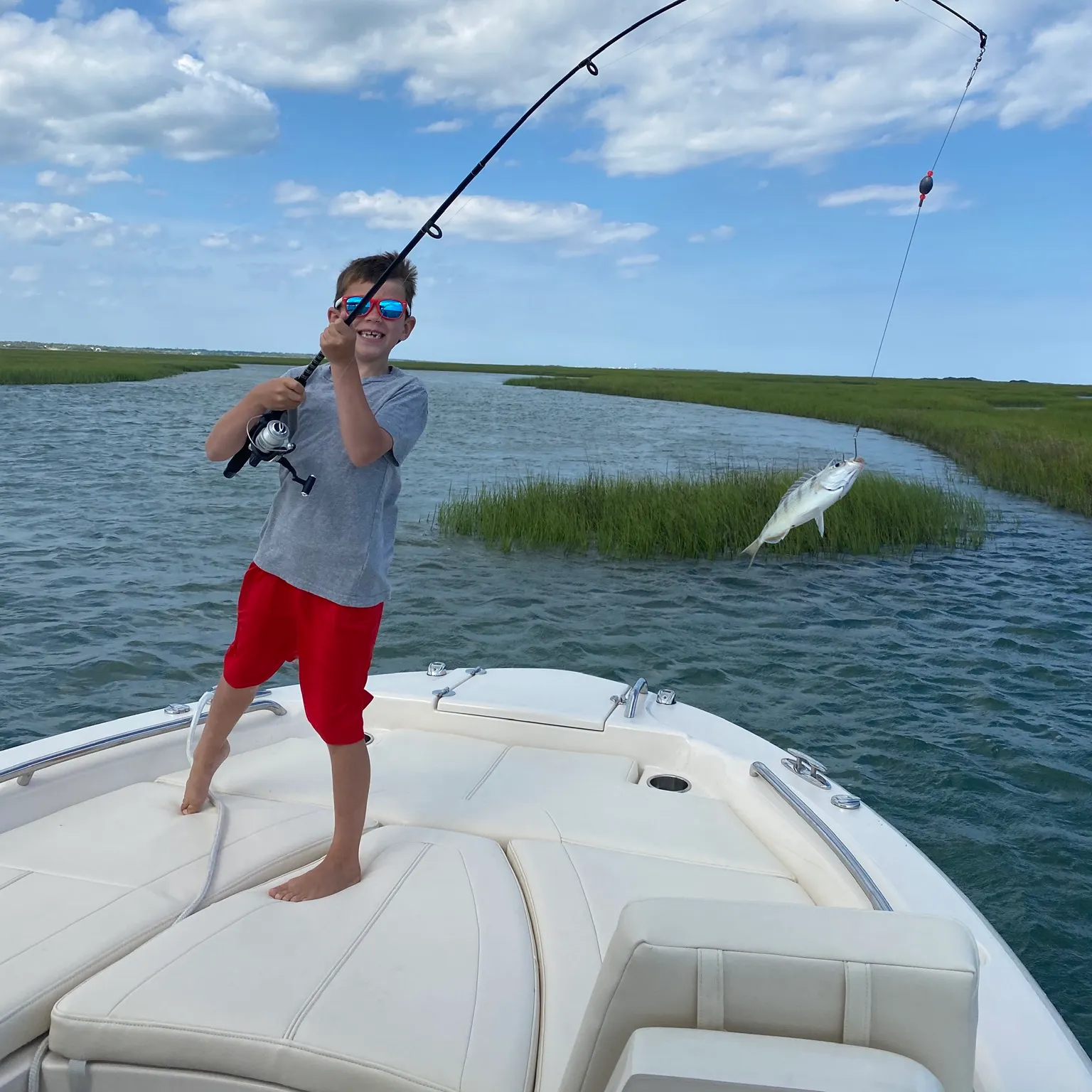 The most recent Blue runner catches on Fishbrain