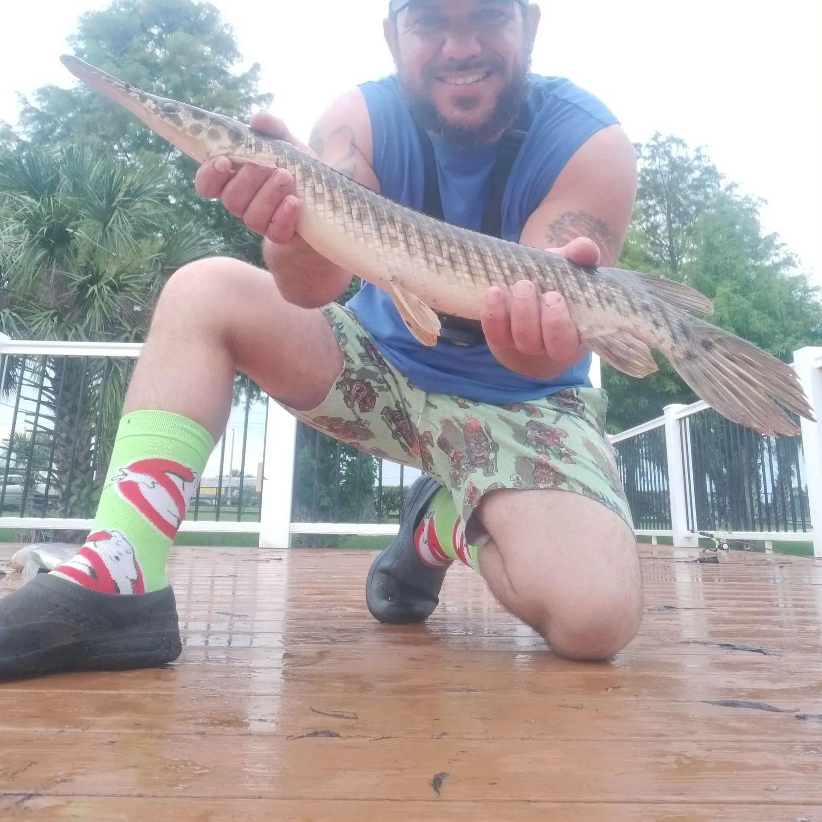 most liked catch image