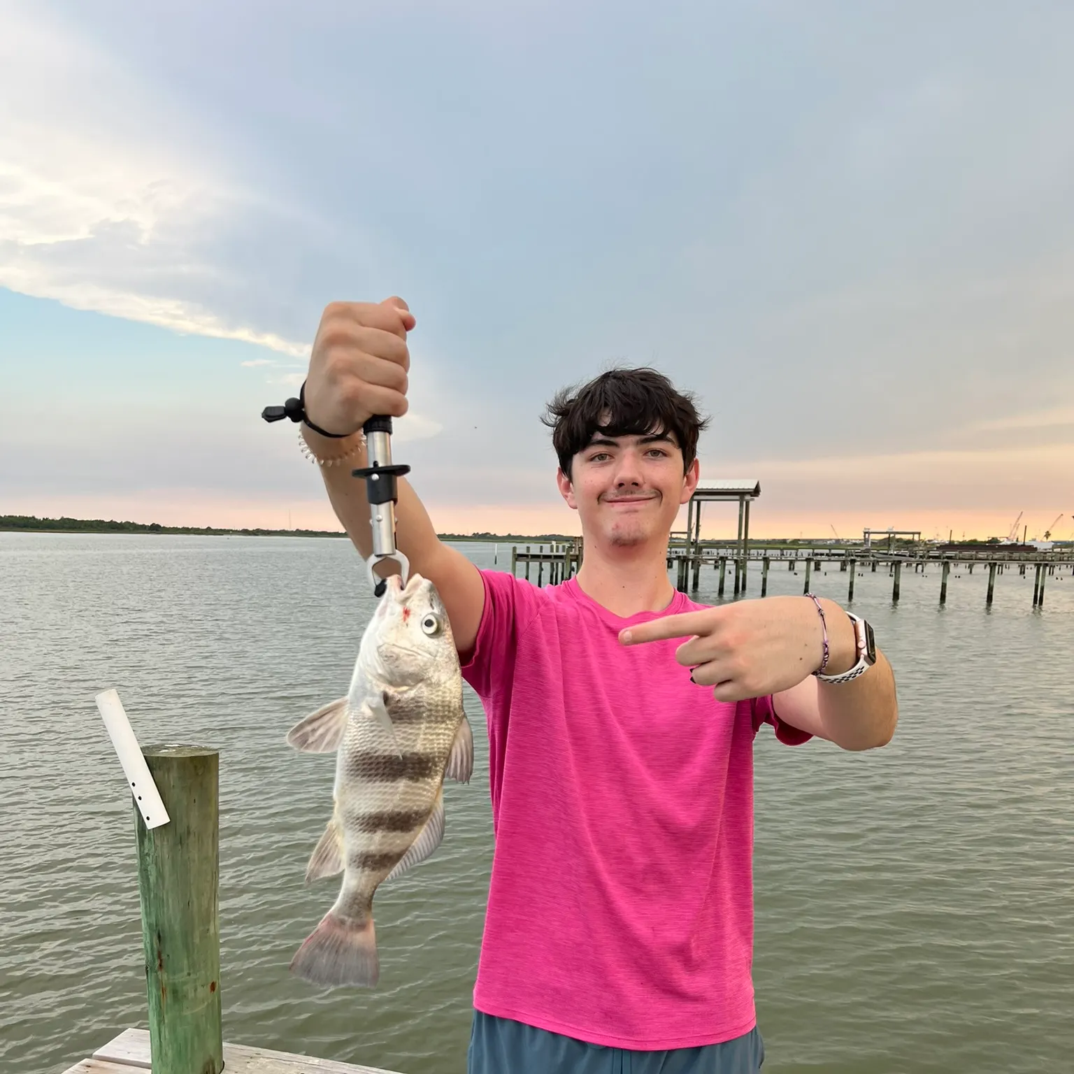 The most recent Black drum catches on Fishbrain