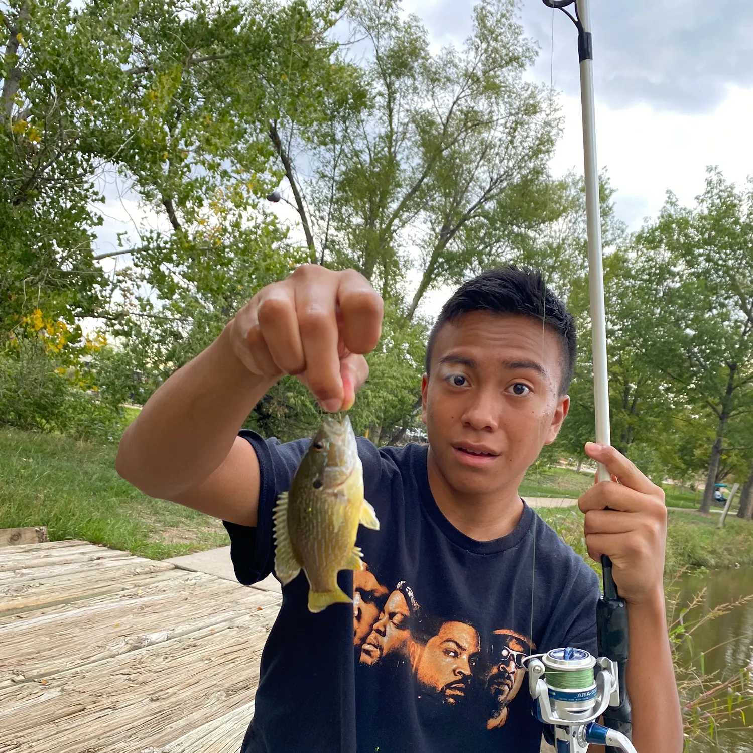 Green sunfish caught on Fishbrain