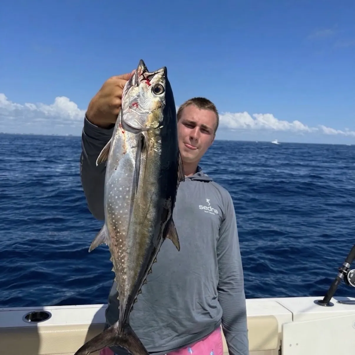 The most recent Blackfin tuna catches on Fishbrain