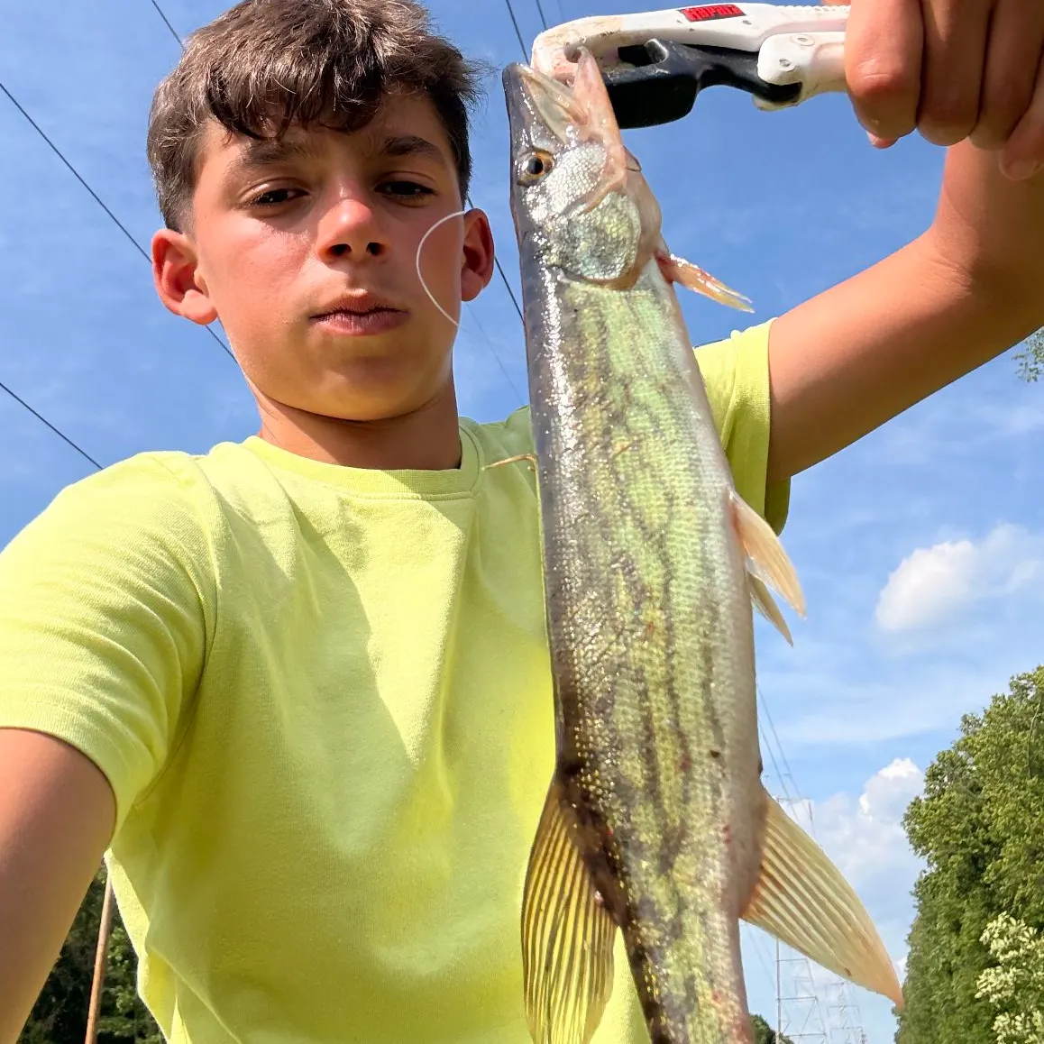 catch