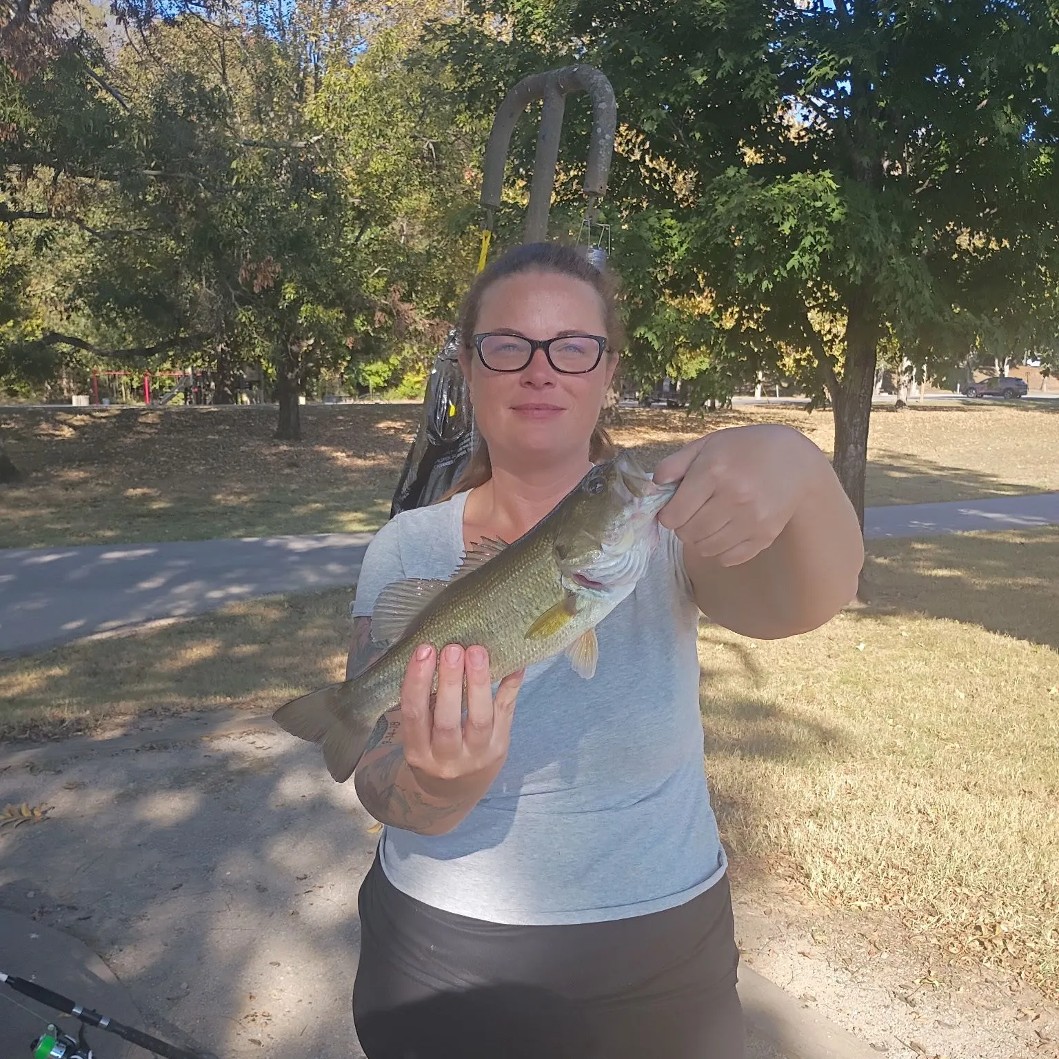 Spotted bass caught on Fishbrain