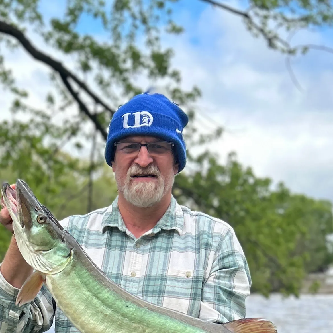 The most recent Muskellunge catches on Fishbrain