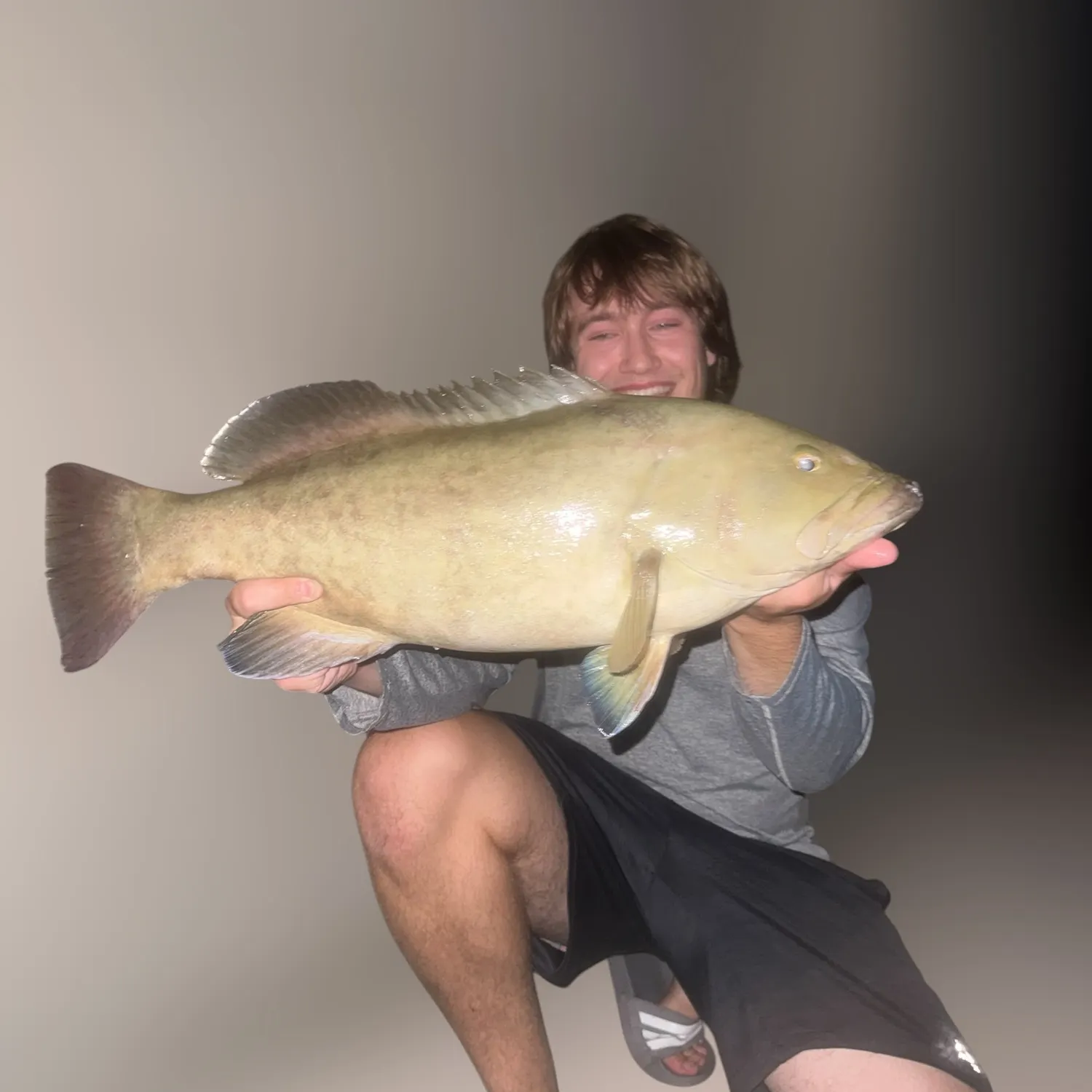Gag grouper caught on Fishbrain