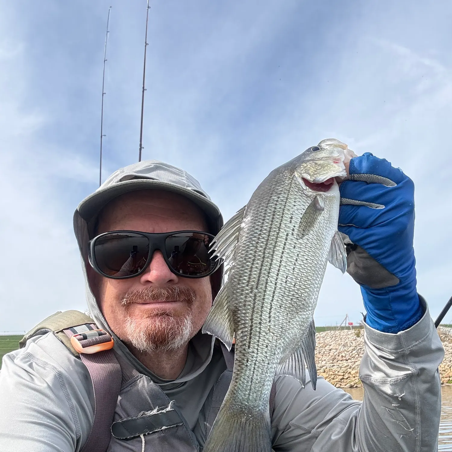White bass caught on Fishbrain