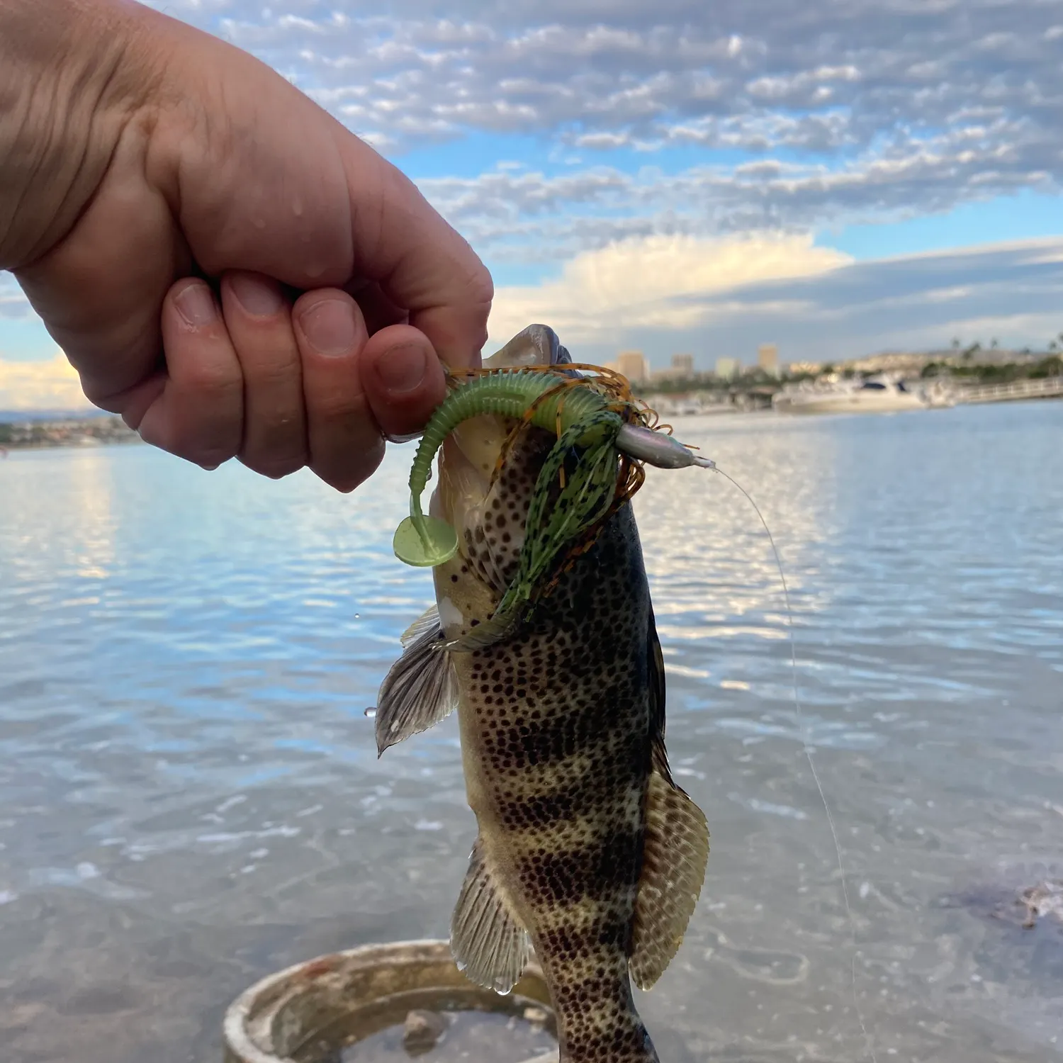 catch