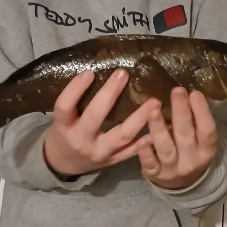 The most recent Ballan wrasse catches on Fishbrain