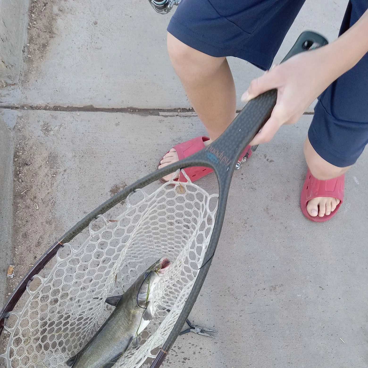 catch
