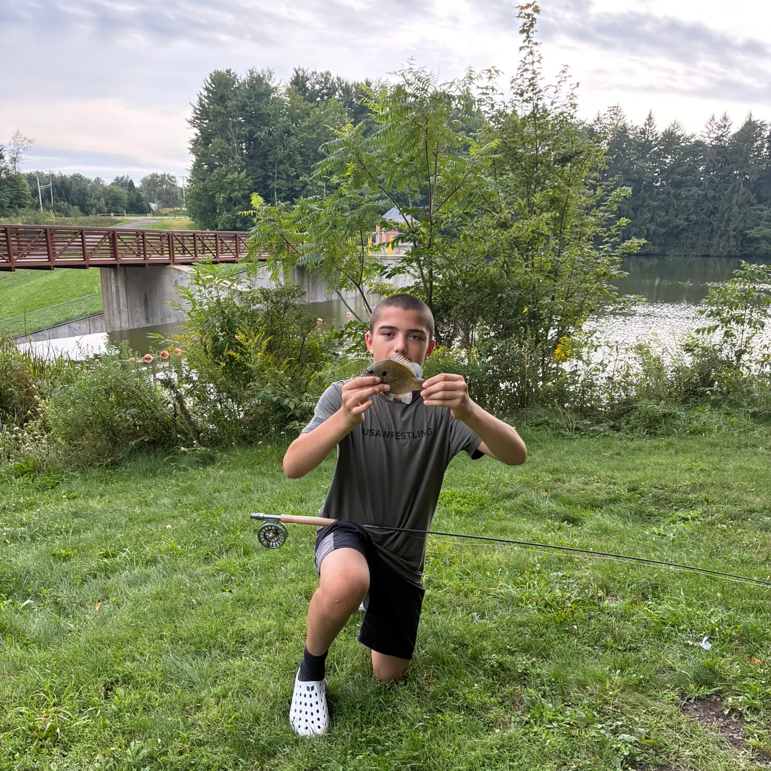 Bluegill caught on Fishbrain