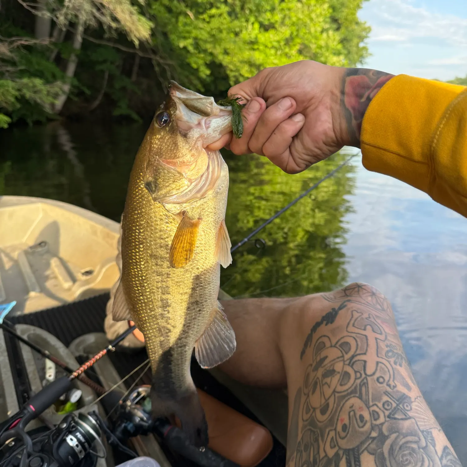 catch