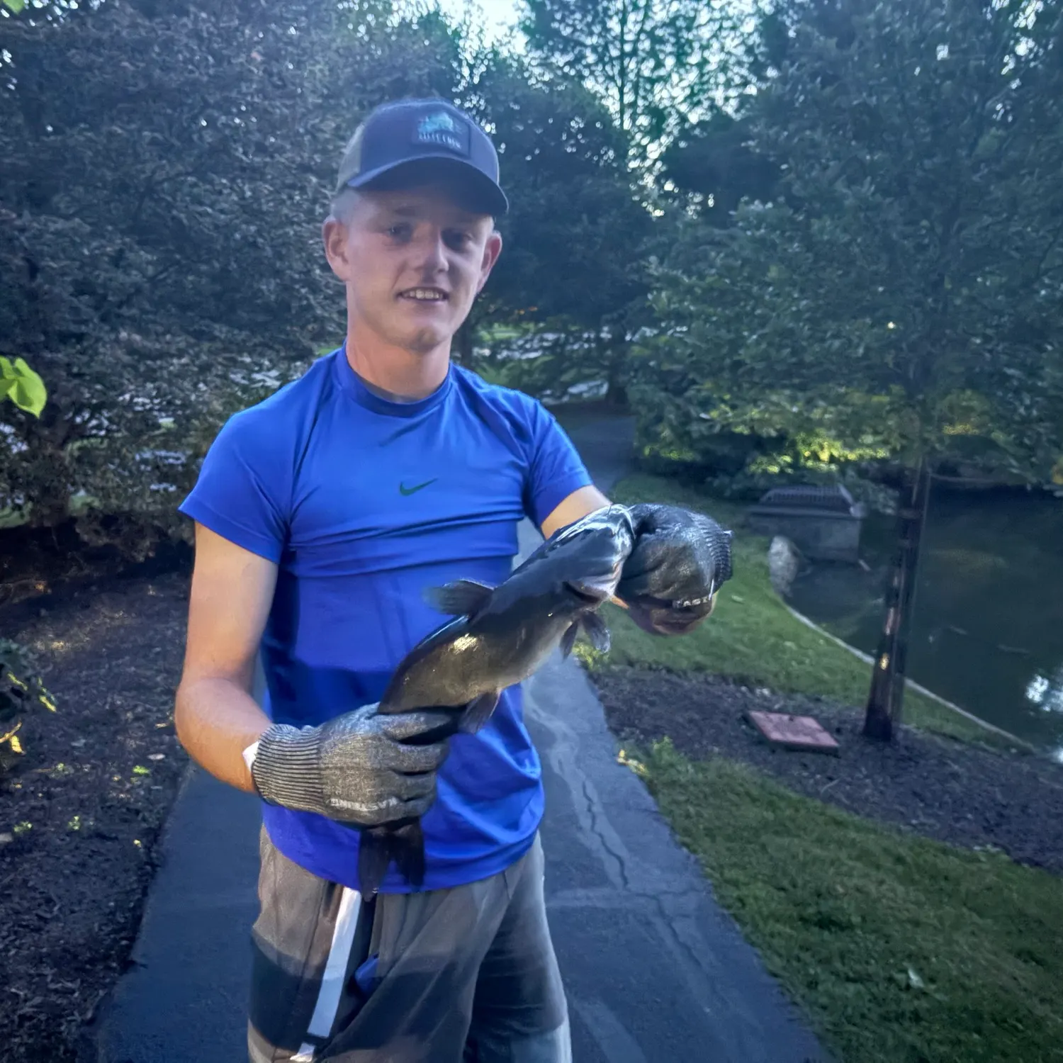 Channel catfish caught on Fishbrain