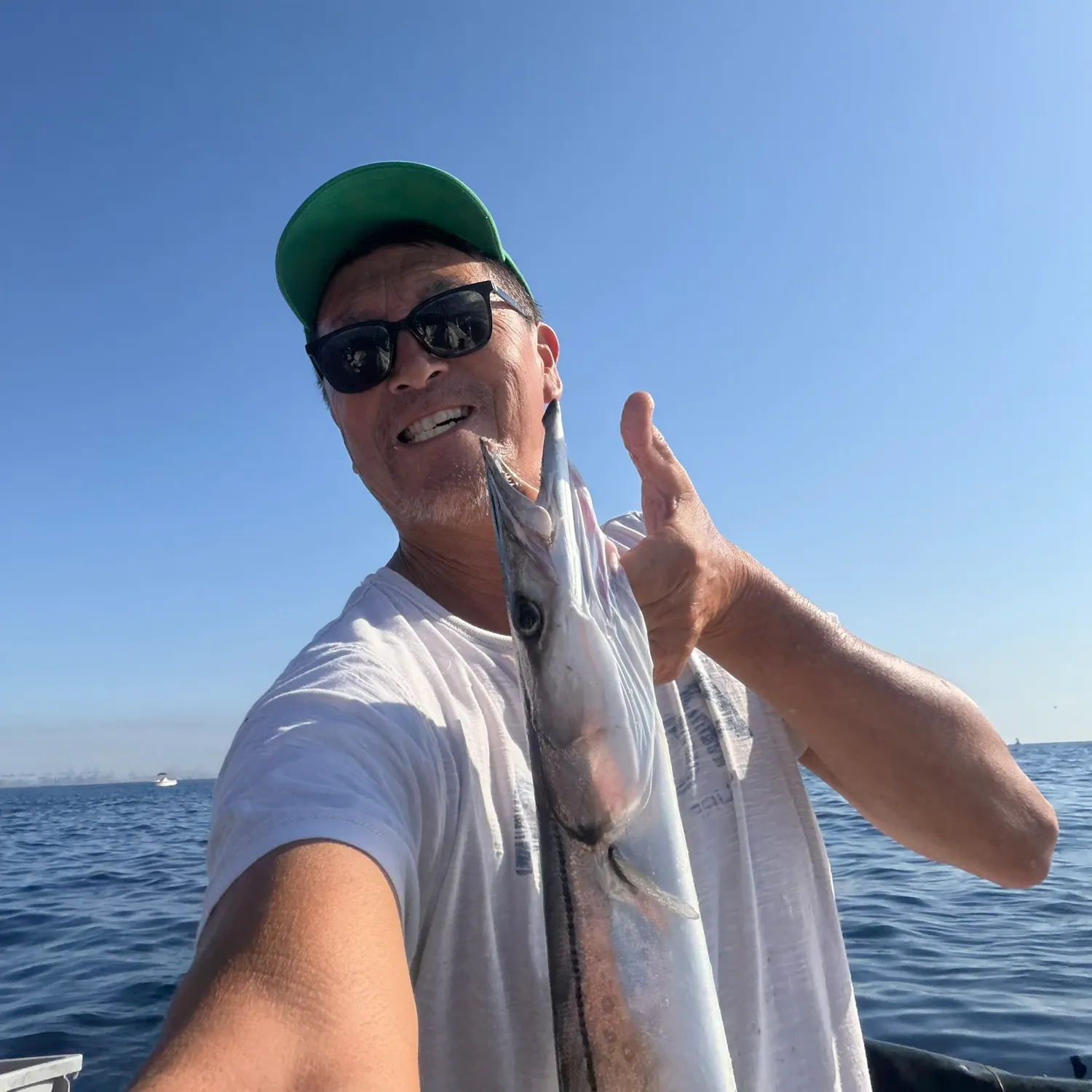 Pacific barracuda caught on Fishbrain