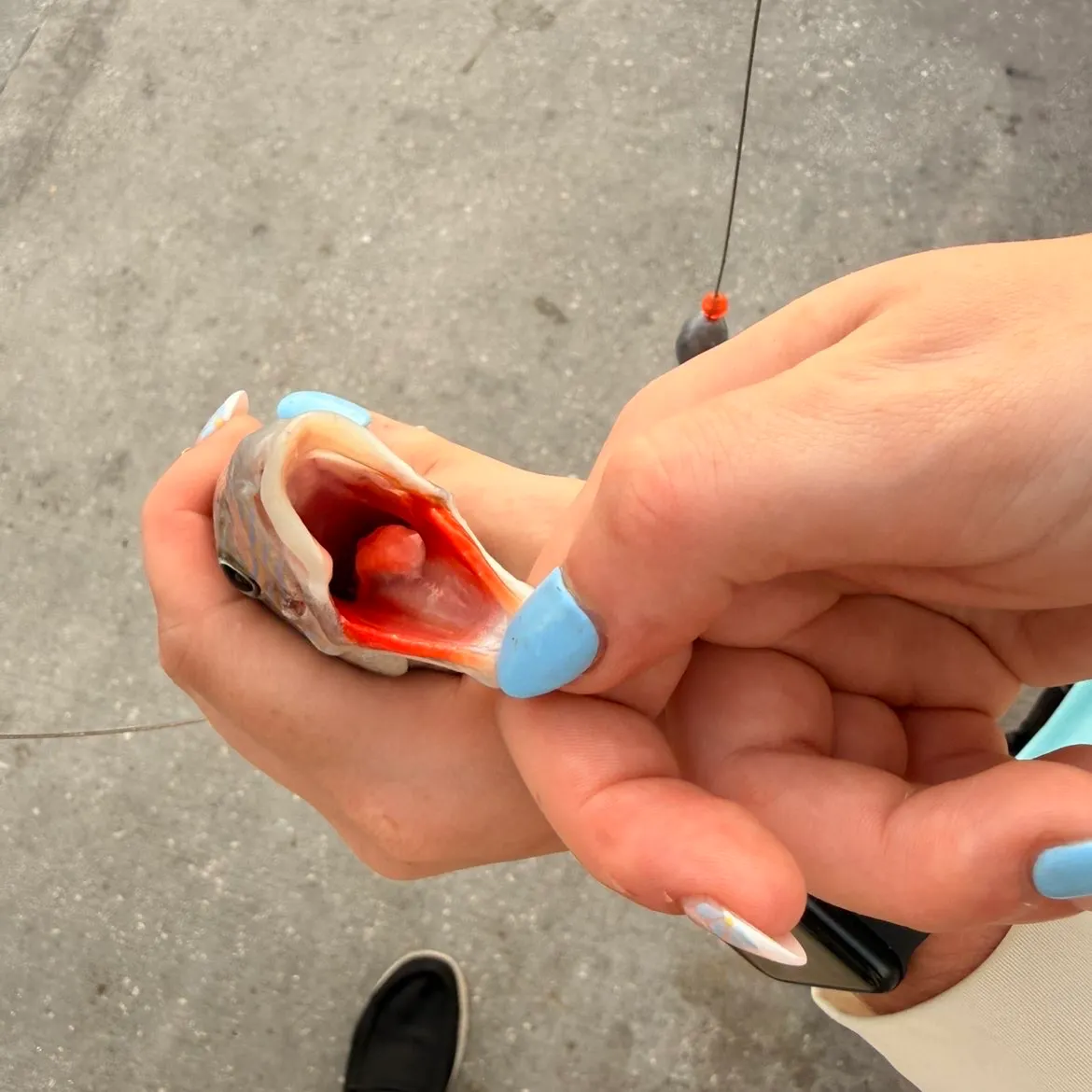 catch