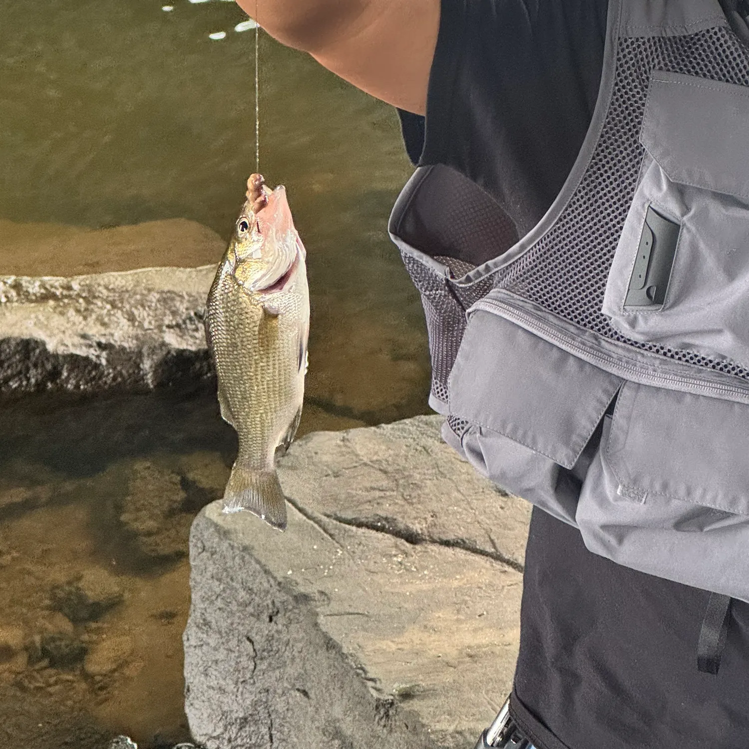 Fish caught on Fishbrain