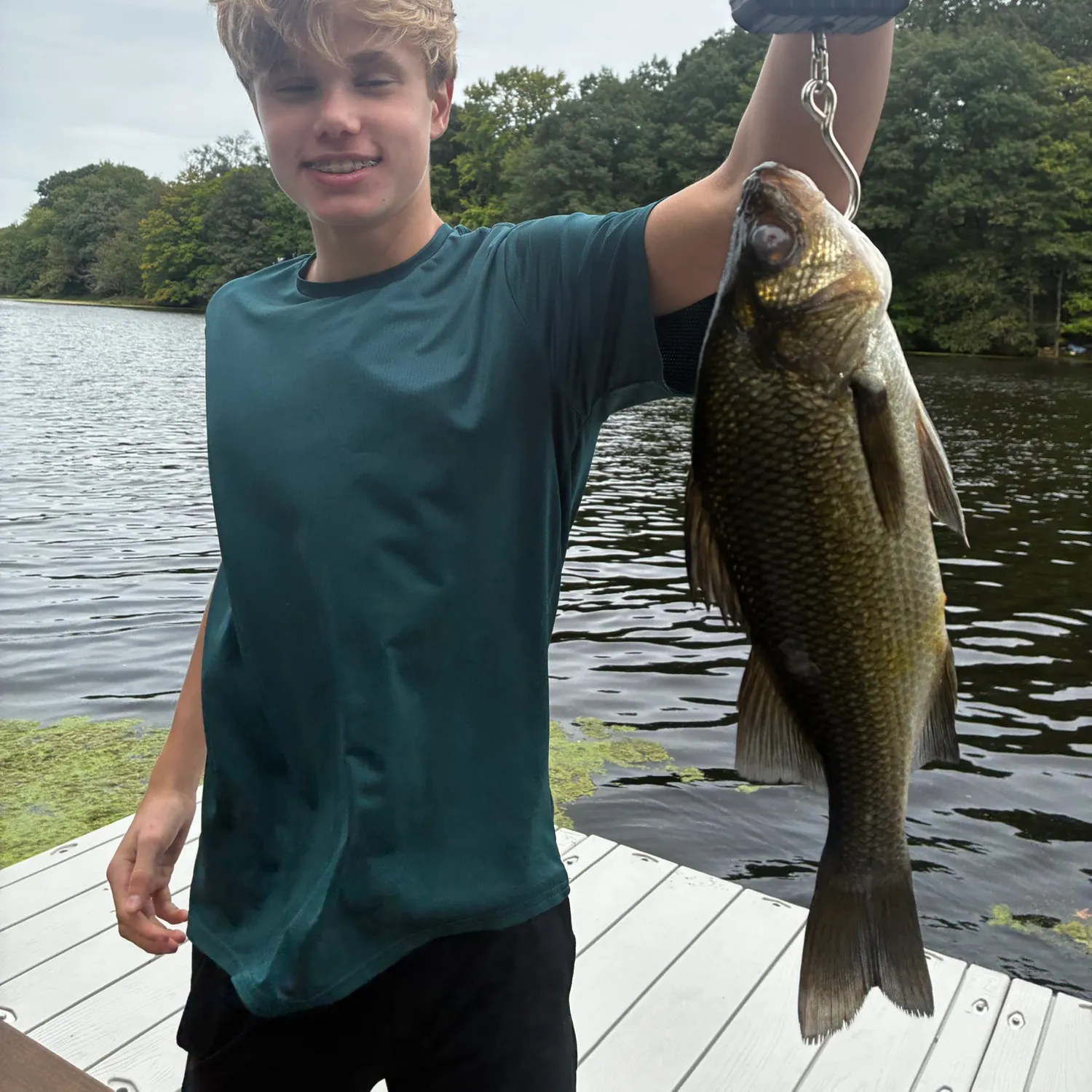 White perch caught on Fishbrain