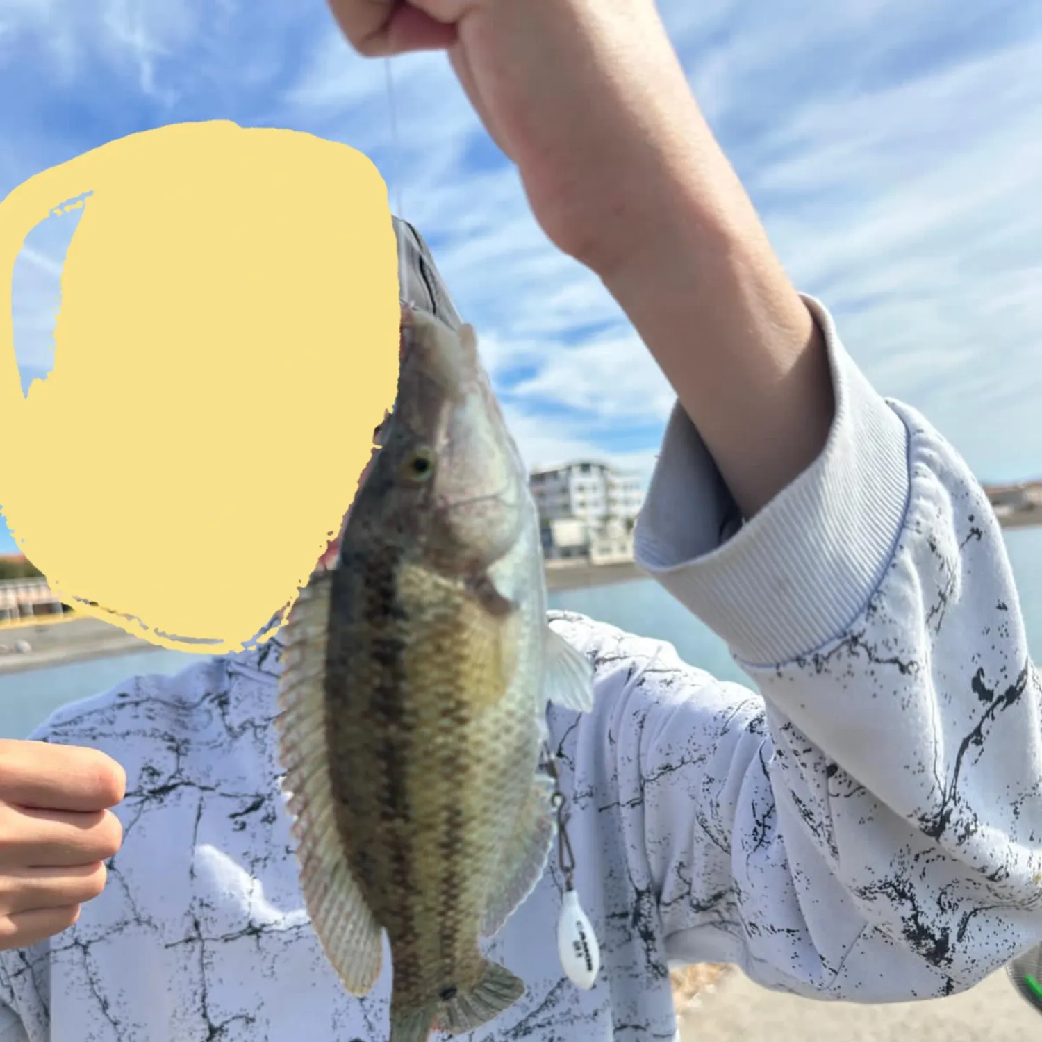 The most recent Jordan's snapper catches on Fishbrain