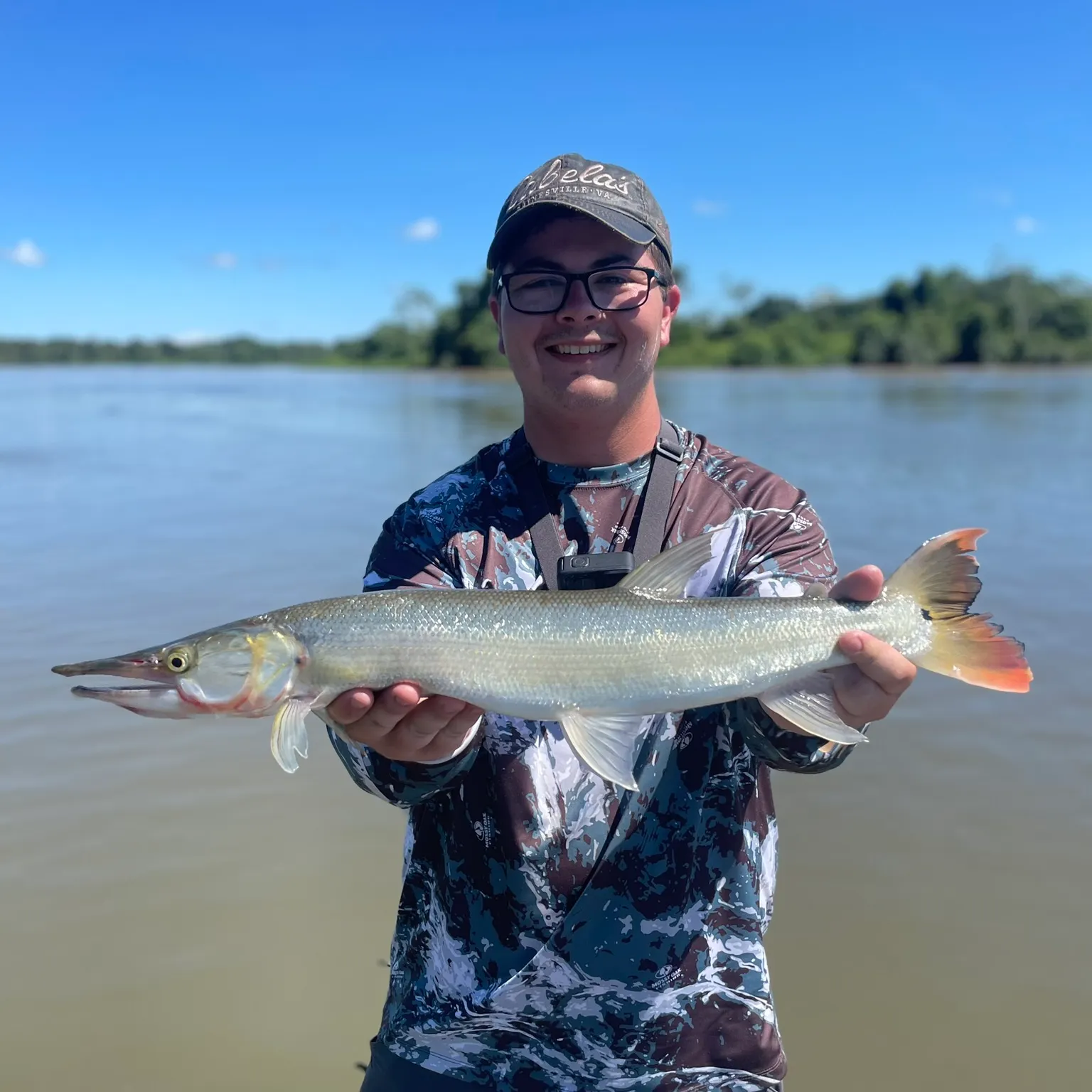 The most recent Bicuda catches on Fishbrain