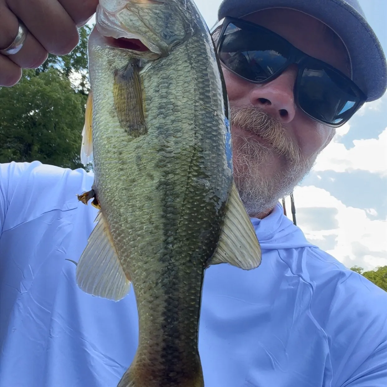 Largemouth bass caught on Fishbrain