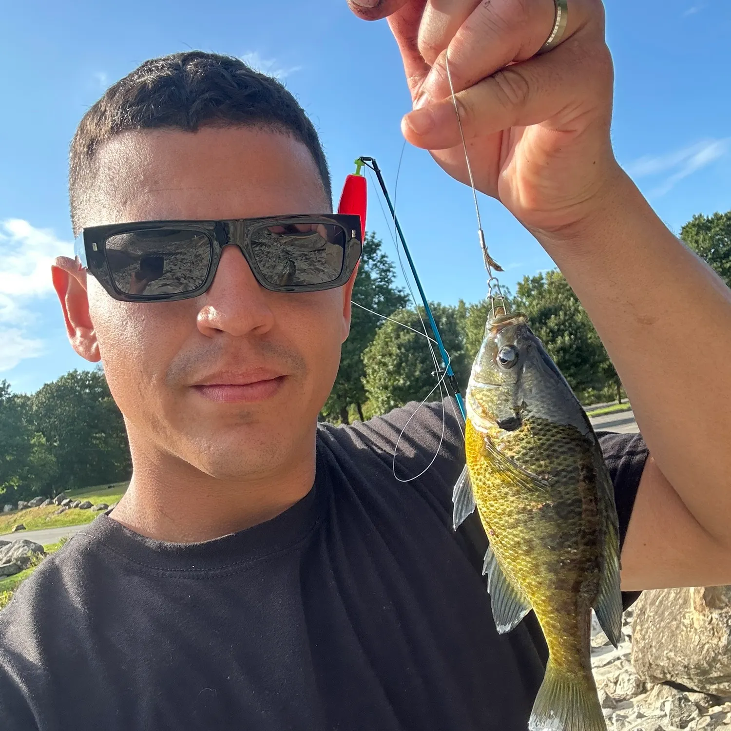 Bluegill caught on Fishbrain