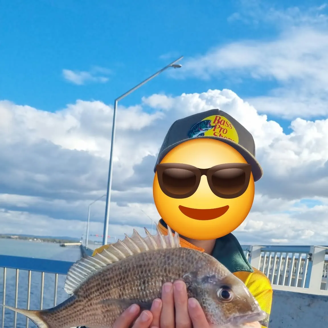 Surf bream caught on Fishbrain