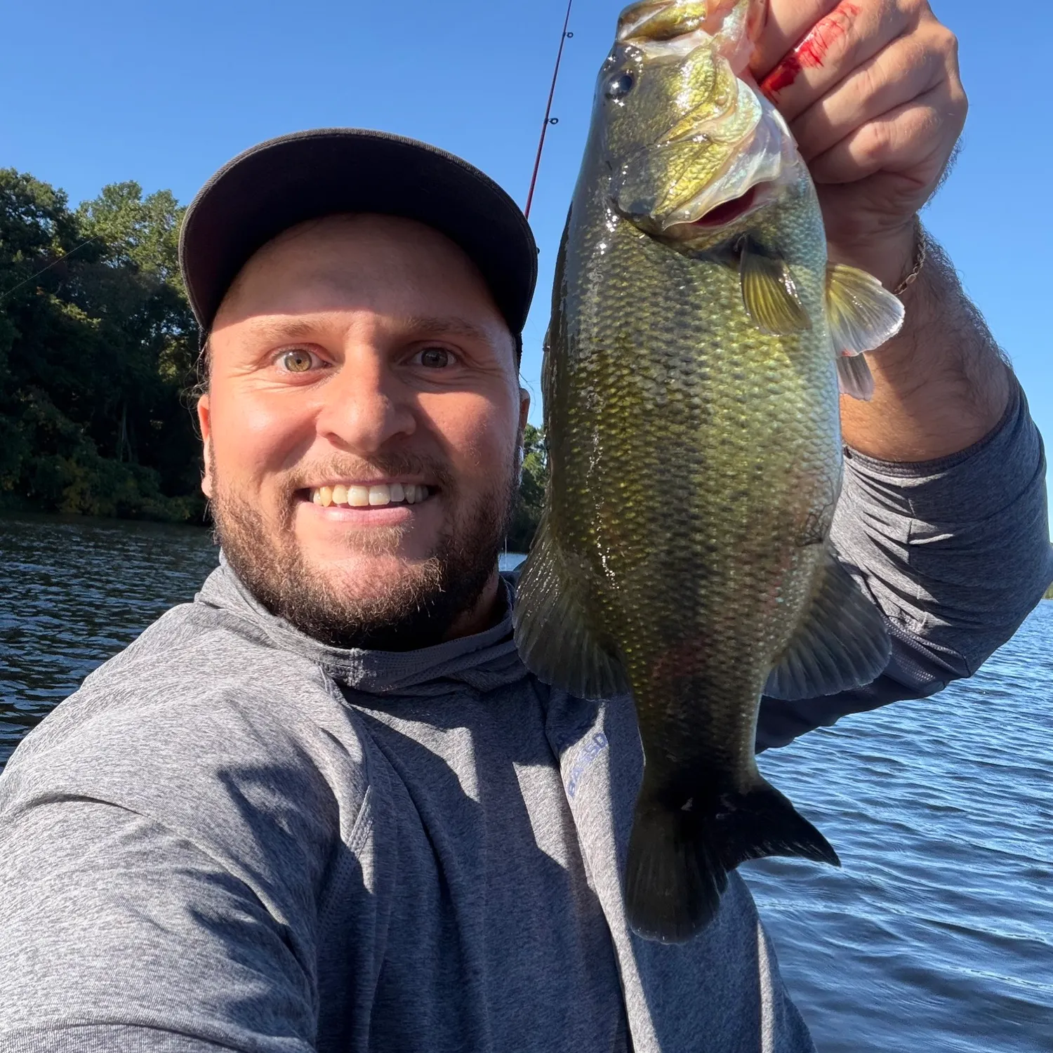 Largemouth bass caught on Fishbrain