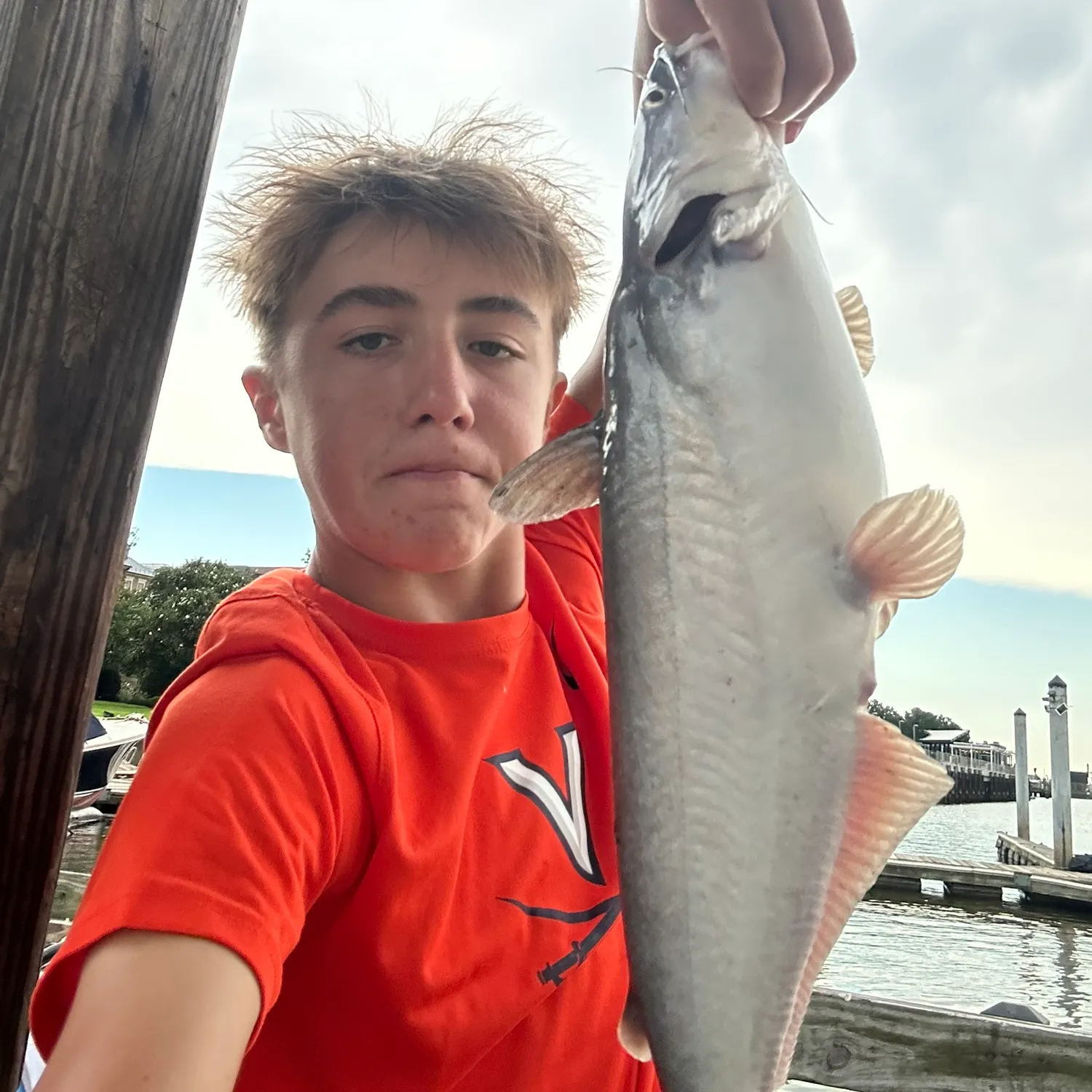 Blue catfish caught on Fishbrain
