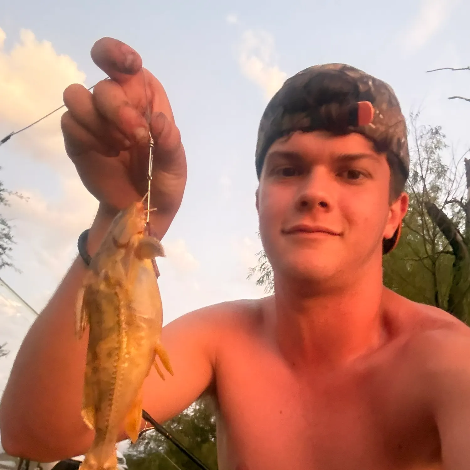 The most recent Granulated catfish catches on Fishbrain