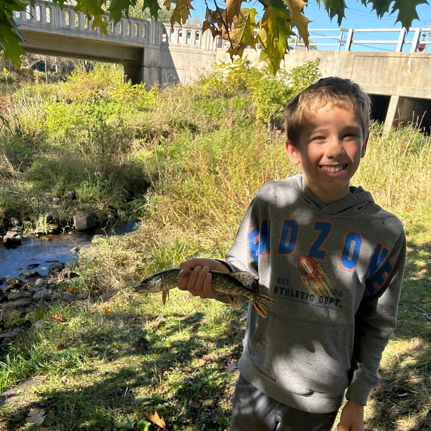 Northern pike caught on Fishbrain