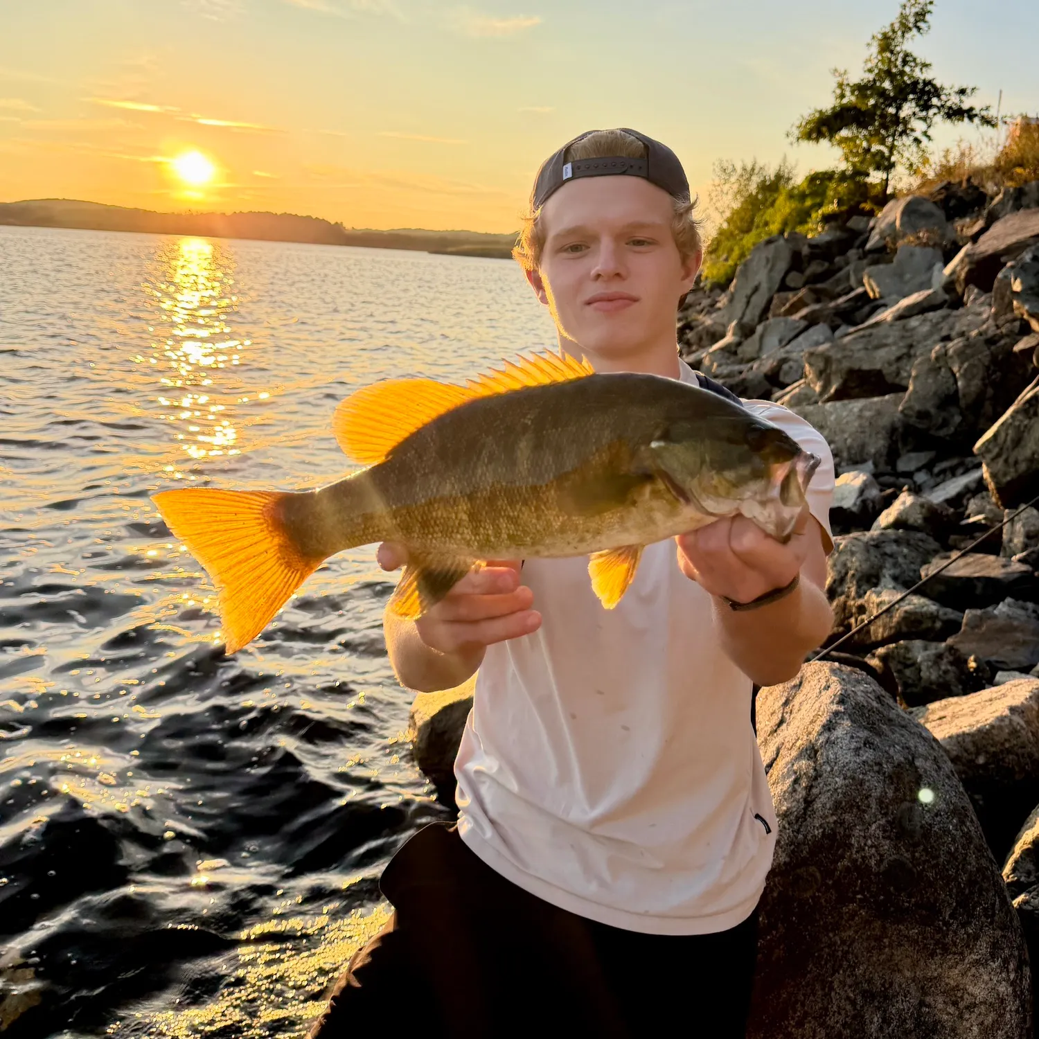 Smallmouth bass caught on Fishbrain