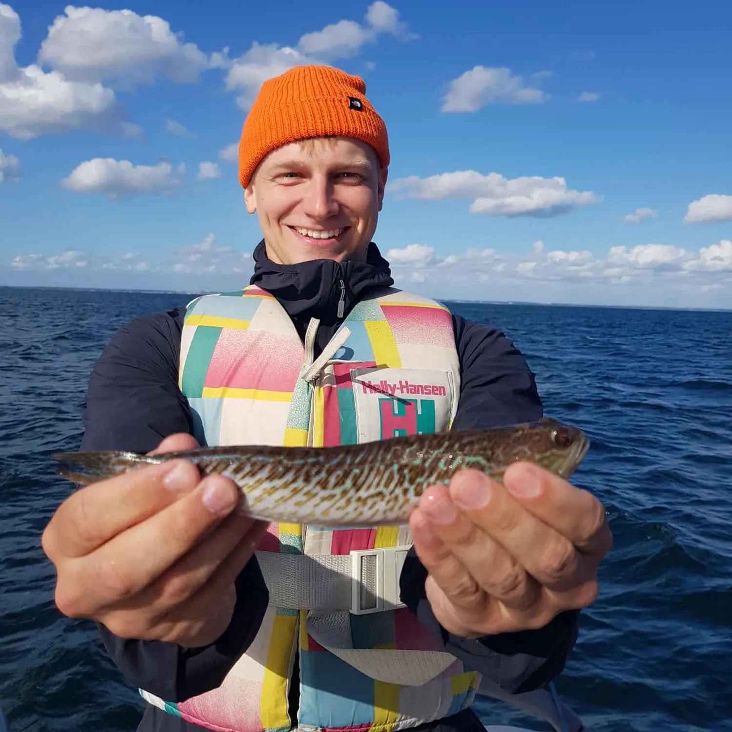 The most recent Greater weever catches on Fishbrain