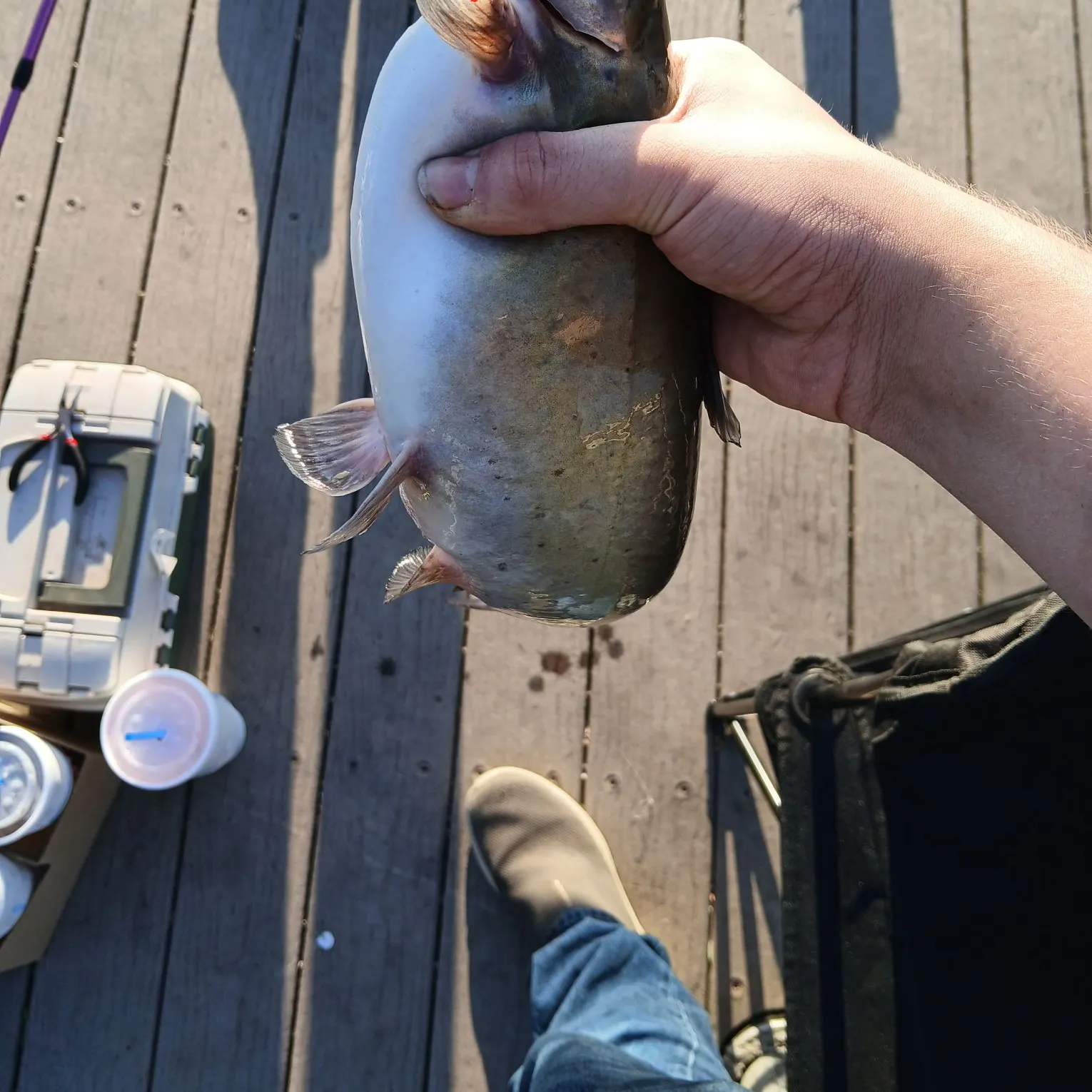 catch
